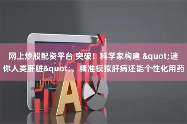 网上炒股配资平台 突破!科学家构建 "迷你人类肝脏",精准模拟肝病还能个性化用药